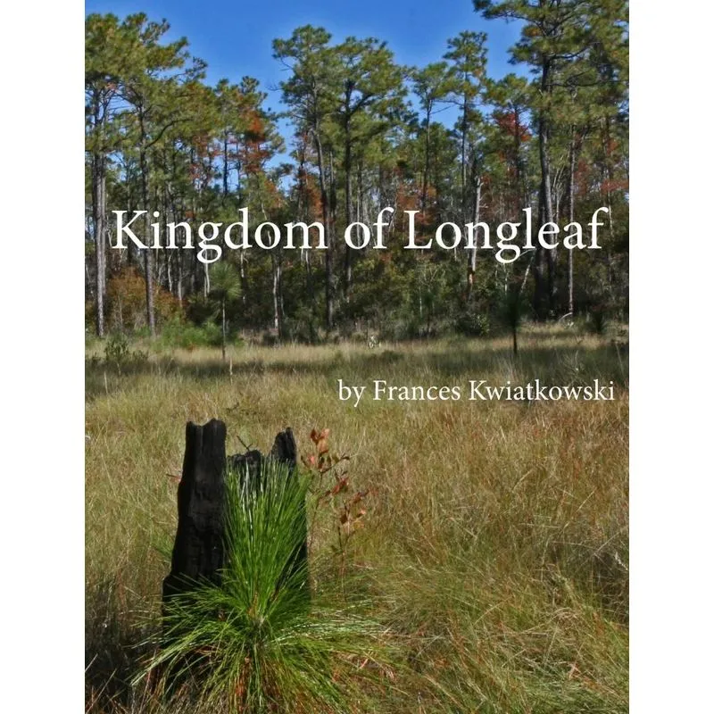 Kingdom of Longleaf