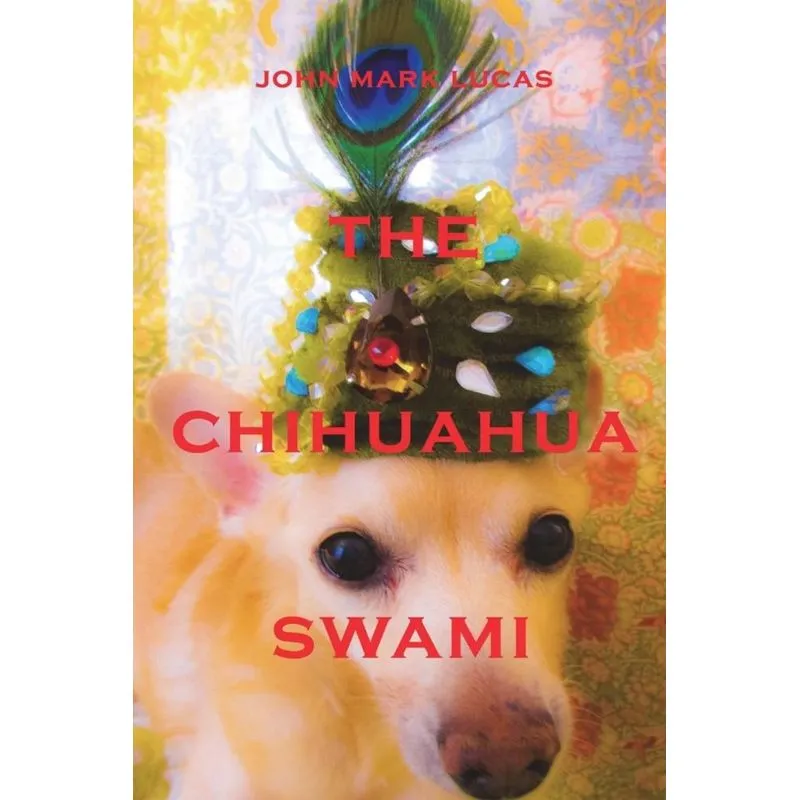 The Chihuahua Swami