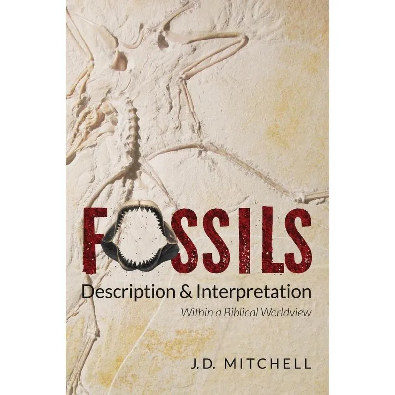 Fossils