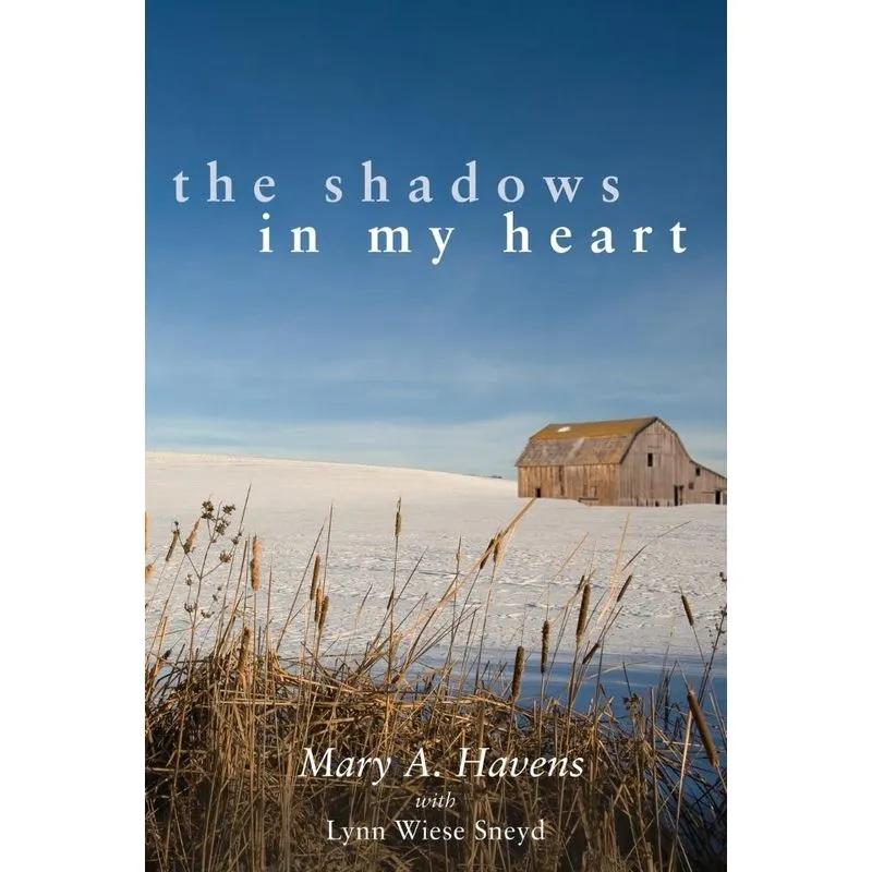 The Shadows In My Heart