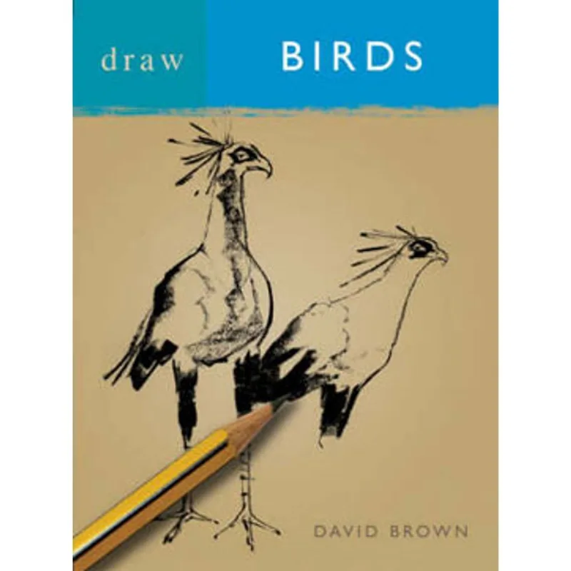 DRAW BIRDS