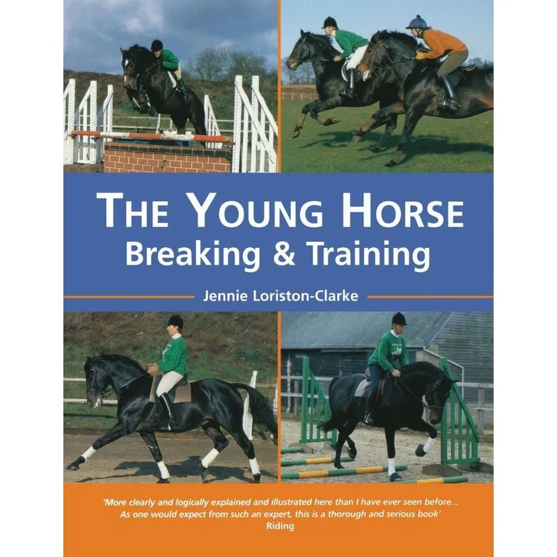 The Young Horse