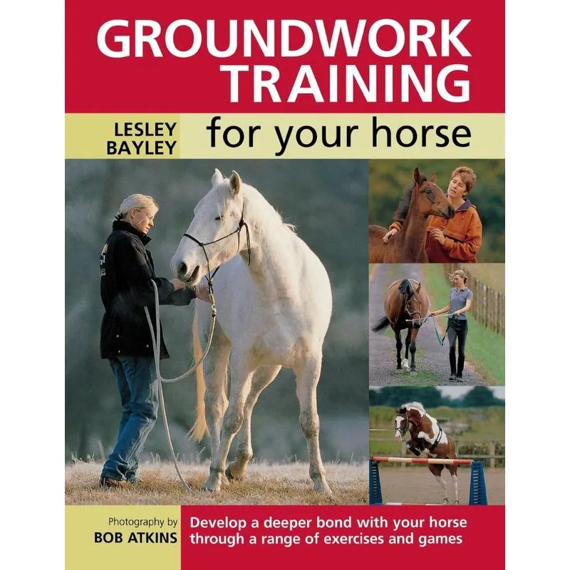 Groundwork Training For Your Horse