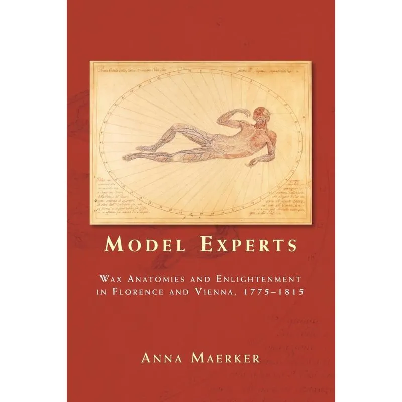 Model experts. Model experts