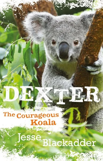 Dexter: The Courageous Koala Paperback