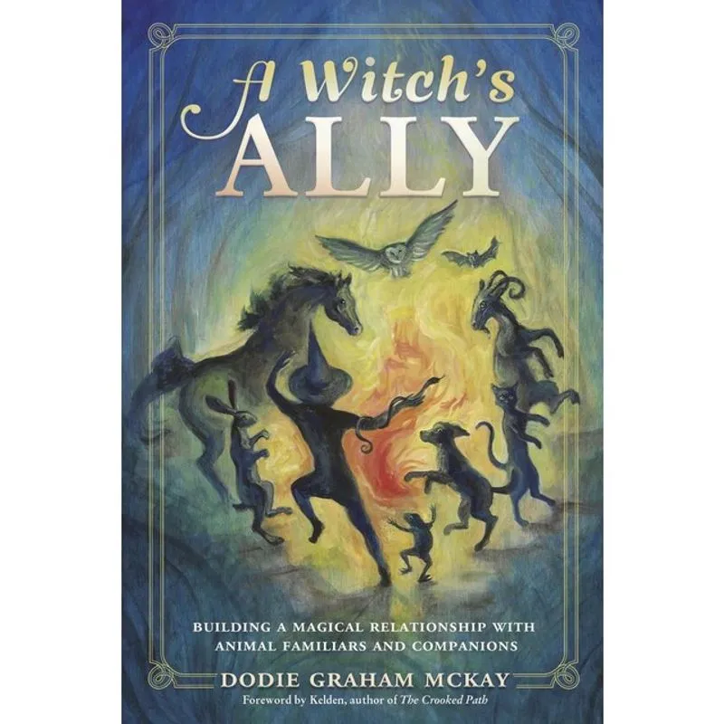 A WITCH'S ALLY