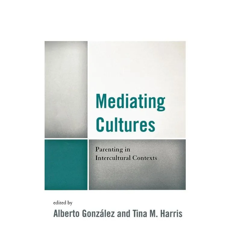 Mediating Cultures
