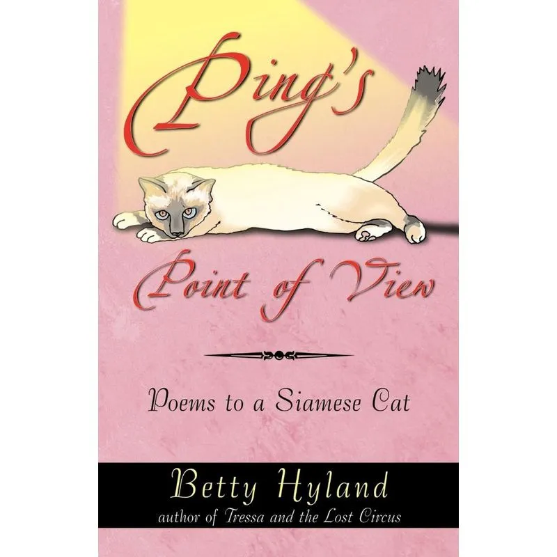 Pings Point of View