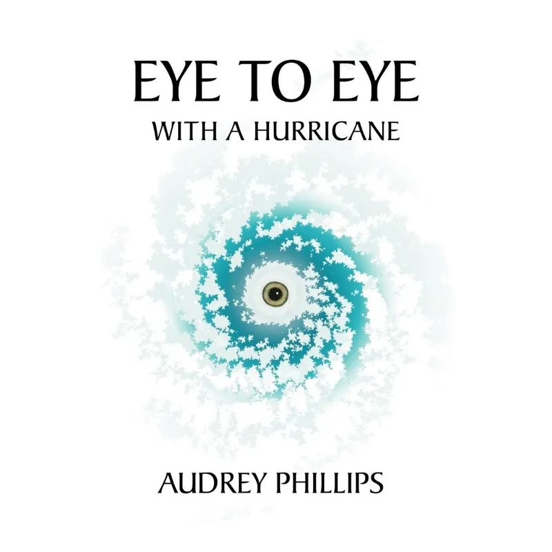 Eye To Eye With A Hurricane