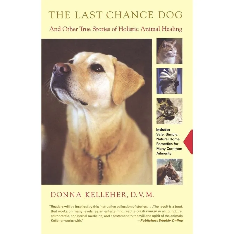 The Last Chance Dog