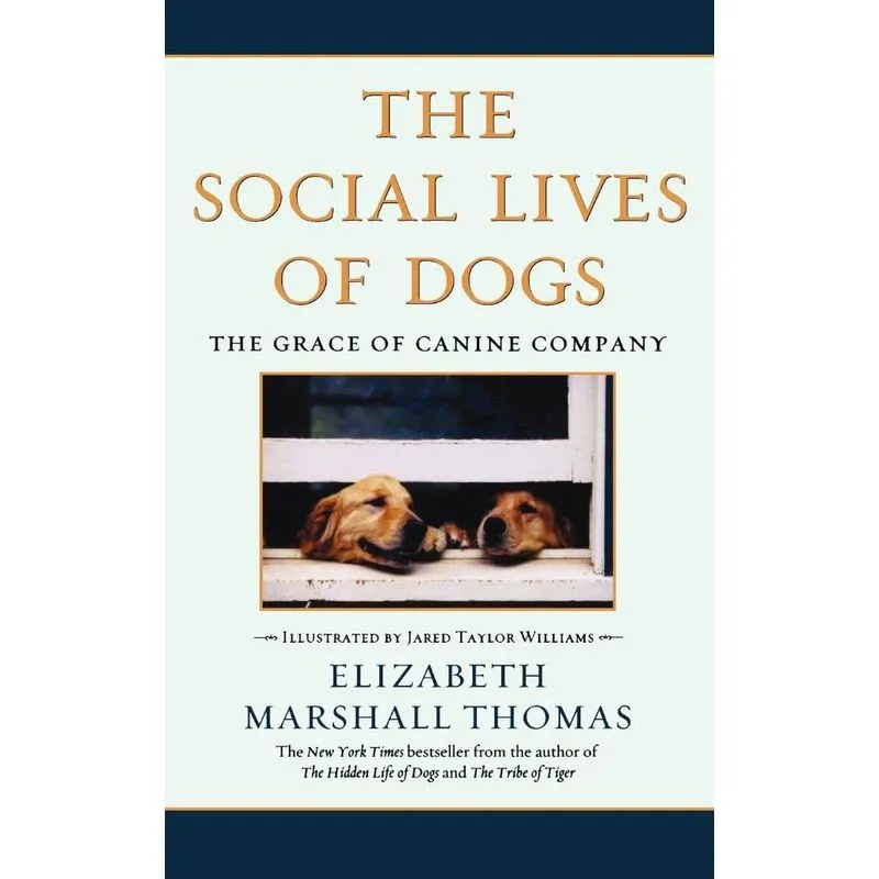 The Social Lives of Dogs