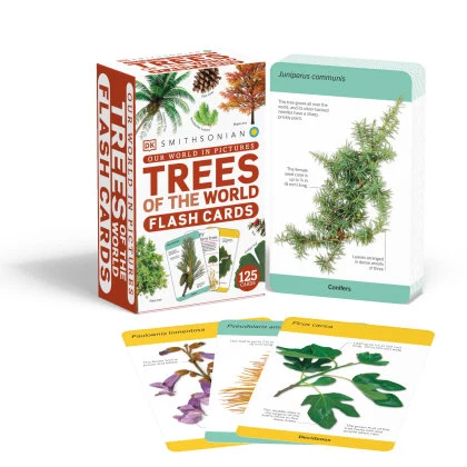 Our World in Pictures Trees of the World Flash Cards STANDARD