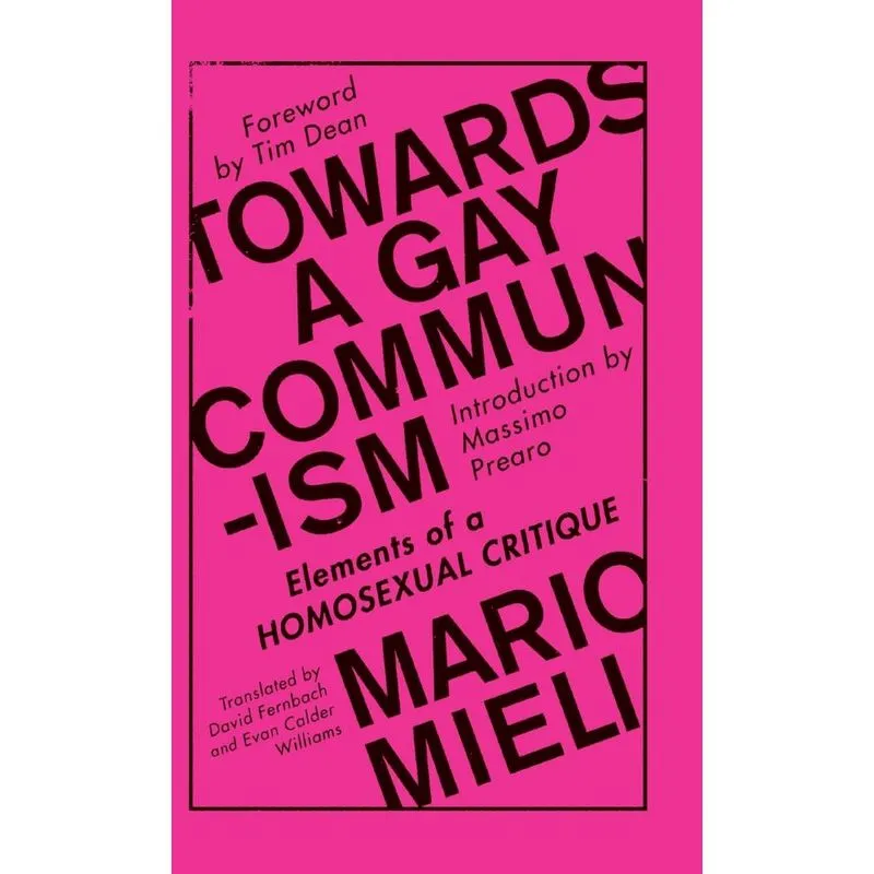 Towards a Gay Communism