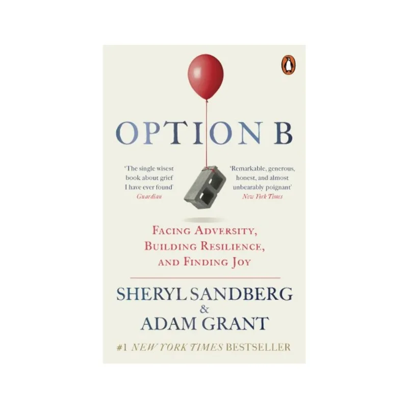 OPTION B