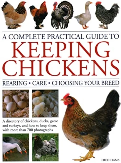 Complete Practical Guide to Keeping Chickens, A