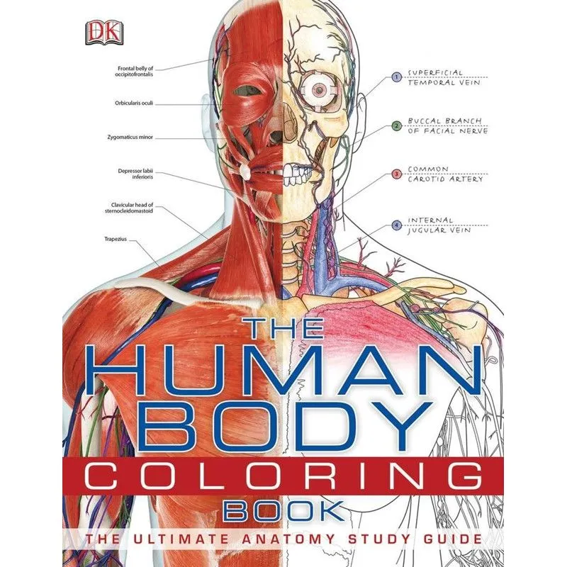 The Human Body Coloring Book