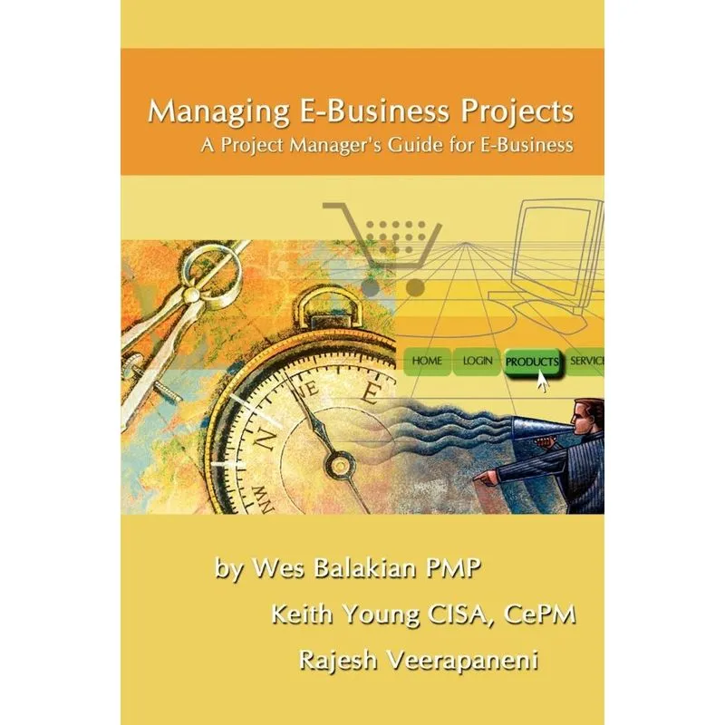Managing E-Business Projects