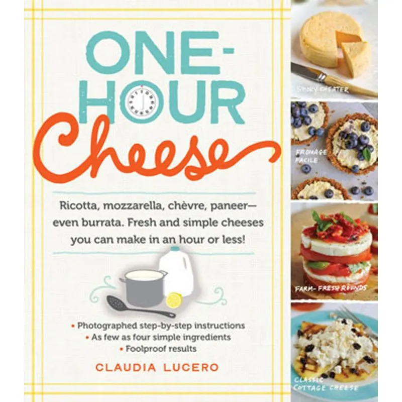 ONE-HOUR CHEESE