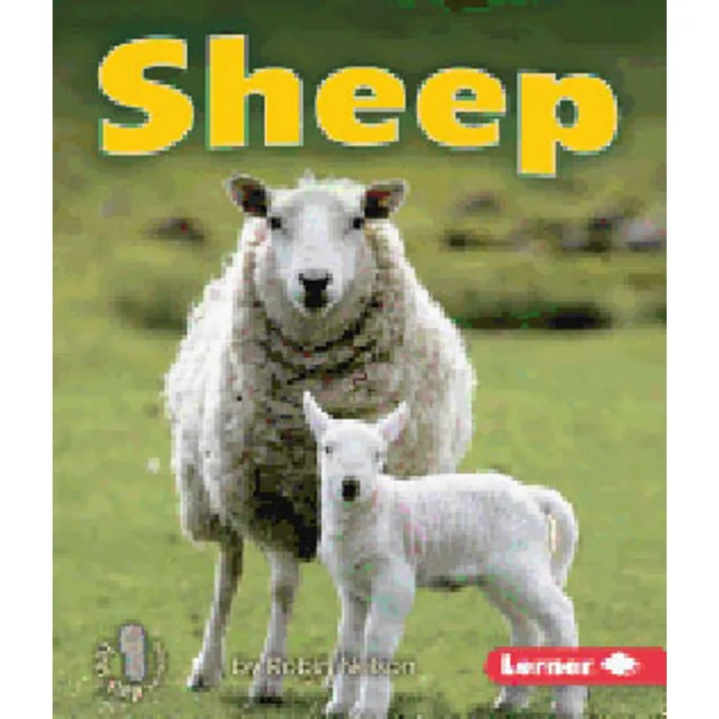 SHEEP