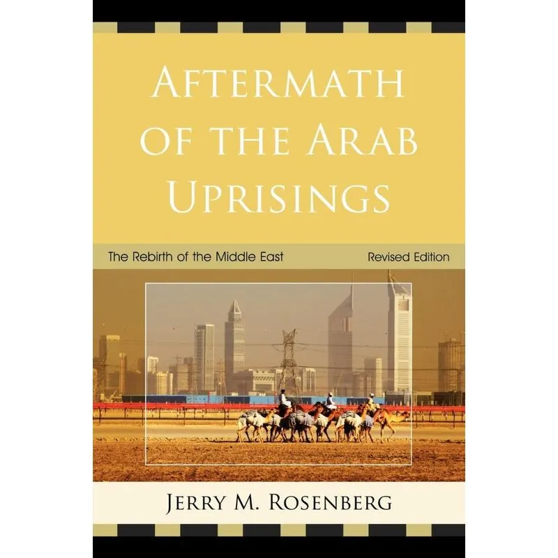 Aftermath of the Arab Uprisings