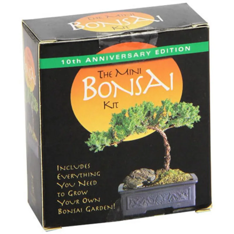 THE MINI BONSAI