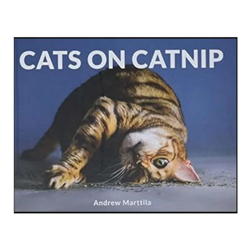 CATS ON CATNIP