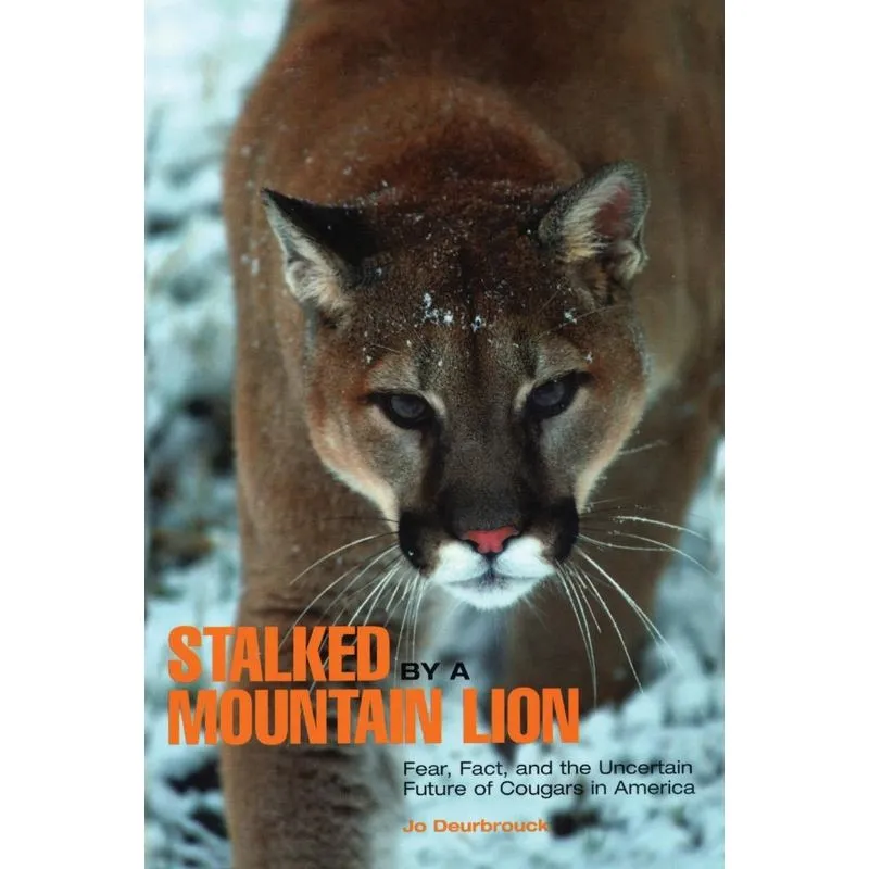 Stalked by a Mountain Lion