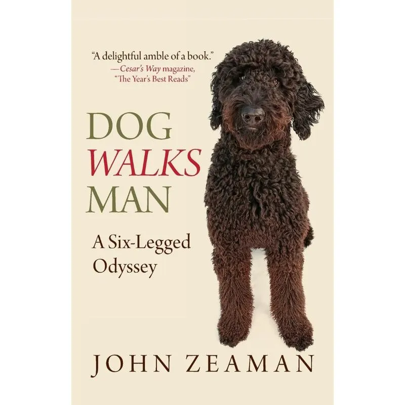 Dog Walks Man