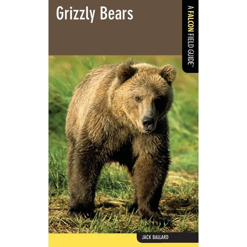 Grizzly Bears