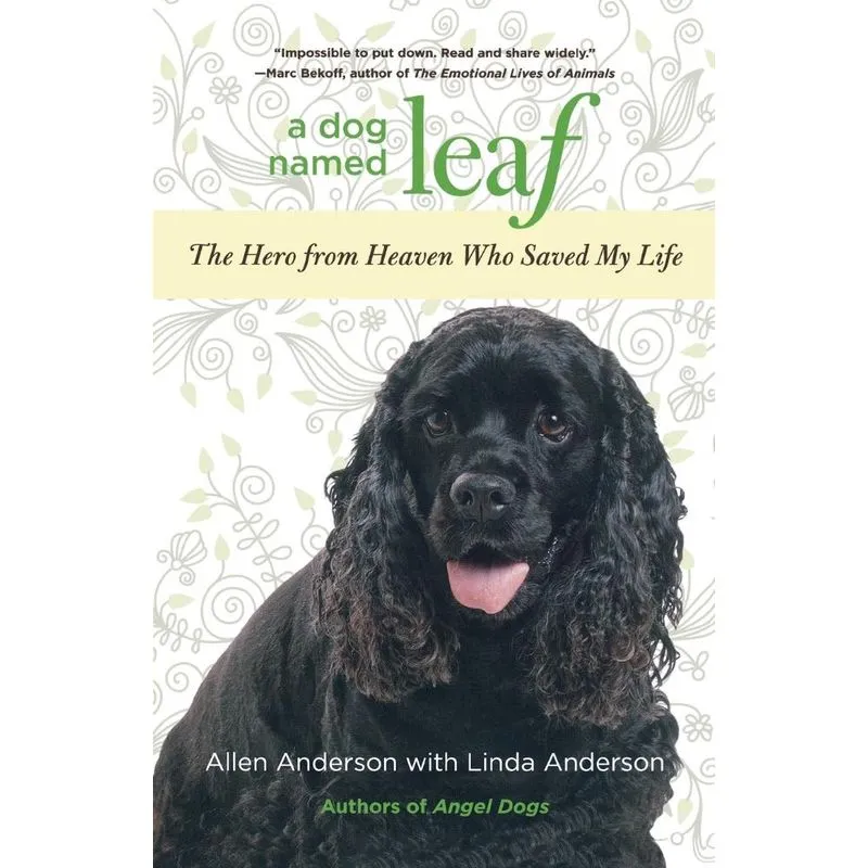 Dog Named Leaf