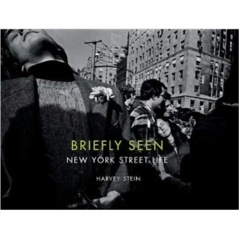Briefly Seen New York Street Life