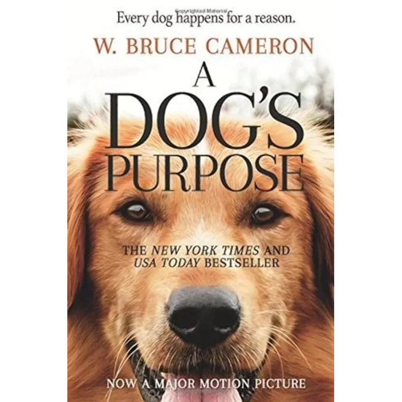 A Dogs Purpose
