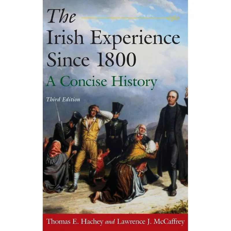 The Irish Experience Since 1800
