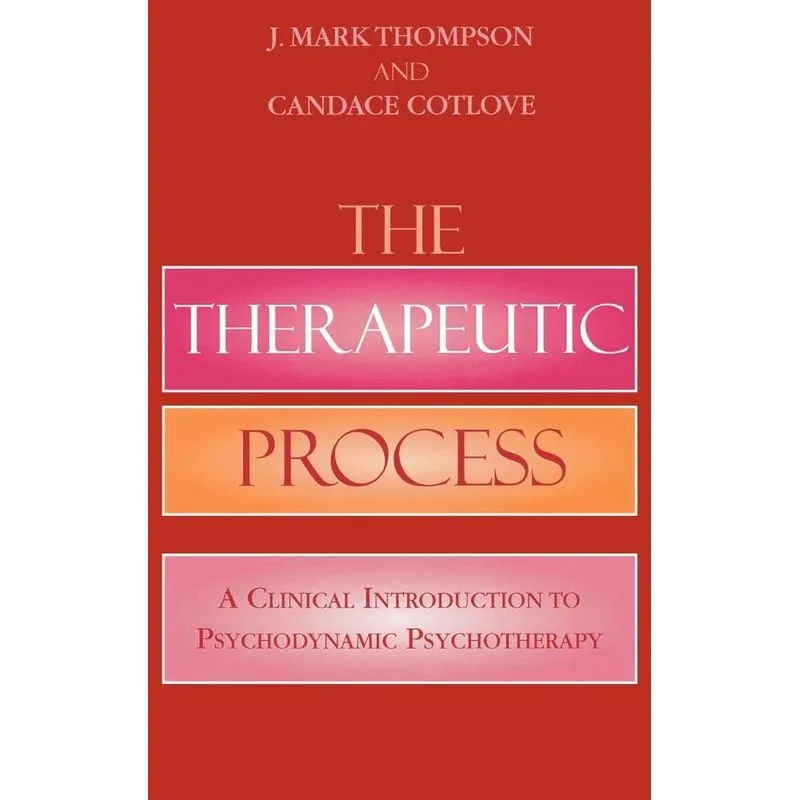 The Therapeutic Process