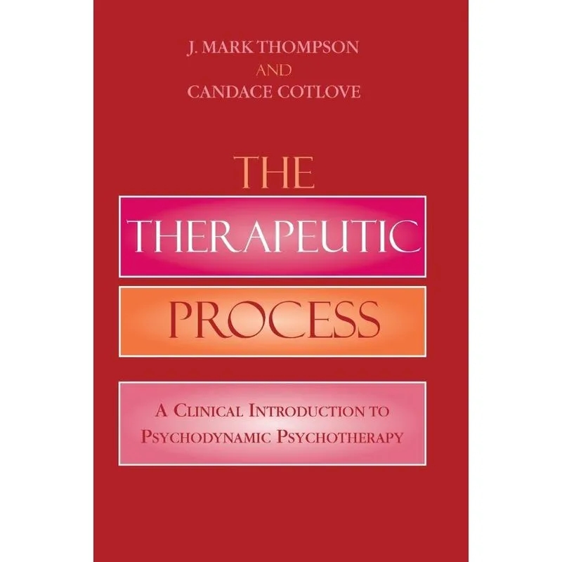 The Therapeutic Process