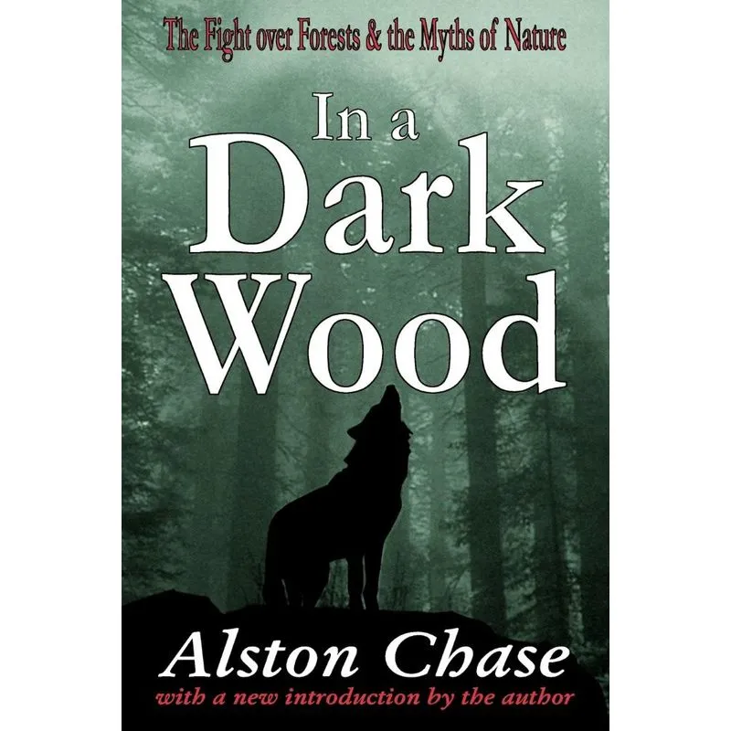In a Dark Wood
