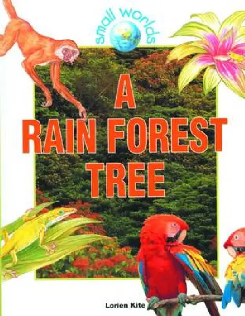 A Rain Forest Tree Hardcover