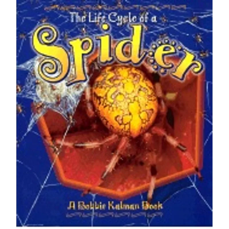 LITTLE LIFE CYCLE OF A SPIDER, THE