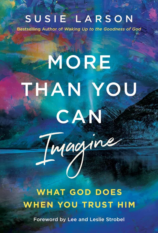 More Than You Can Imagine: Seeing What God Sees in You and Living Loved Hardback