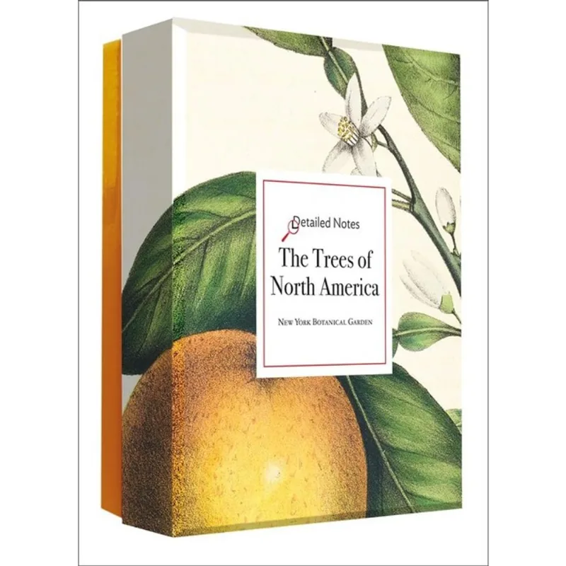 THE TREES OF NORTH AMERICA DETAILED NOTECARD SET