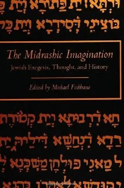 The Midrashic Imagination: Jewish Exegesis, Thought, and History Paperback