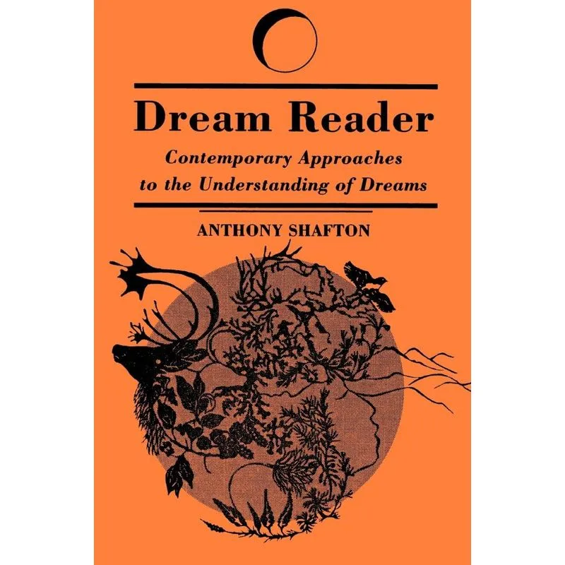 Dream Reader