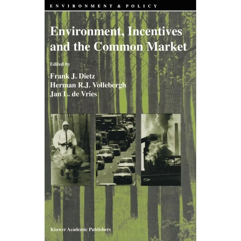 Environment, Incentives and the Common Market