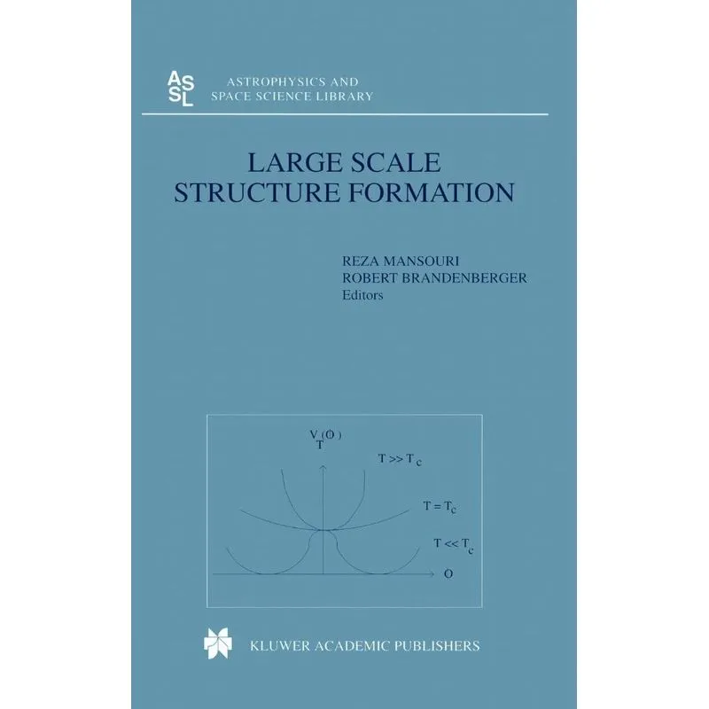 Large Scale Structure Formation