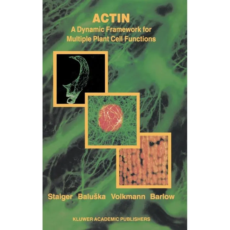 Actin