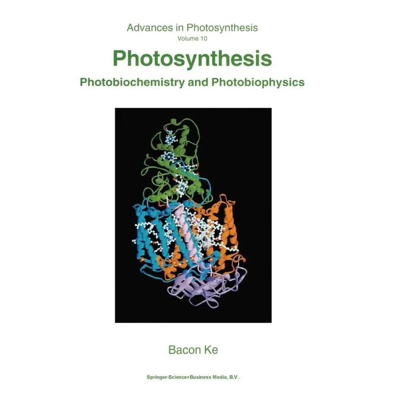 Photosynthesis