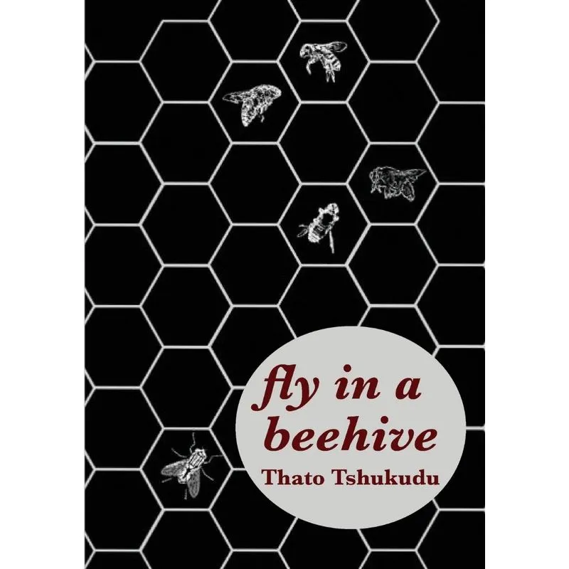 fly in a beehive