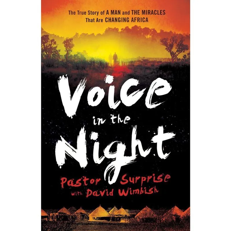 Livros - Voice In The Night