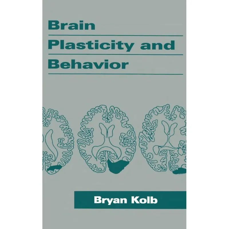 Brain Plasticity and Behavior