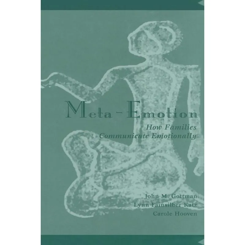 Meta-Emotion